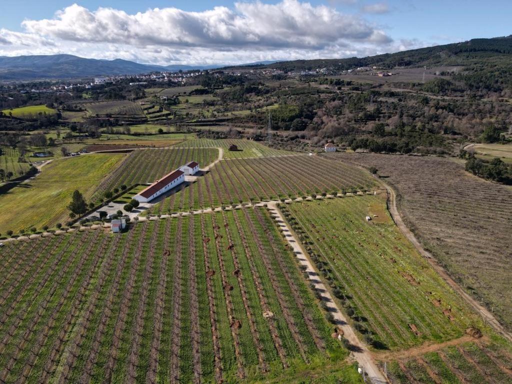 Quinta Lourena - Casa Do Caseiro Covilhã Екстериор снимка